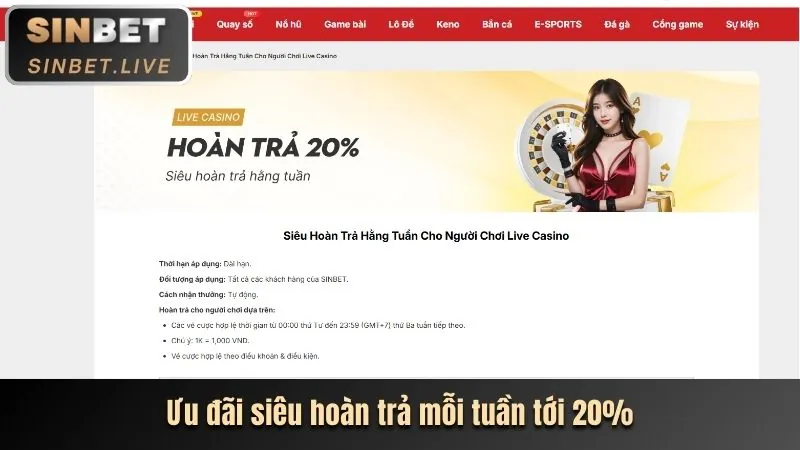 Tổng quan mã Z8bet